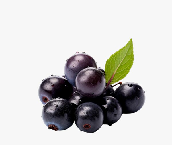 Açaí Liofilizado em pó - Imagem 2