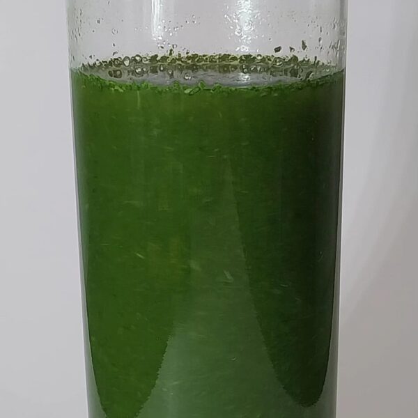 Detox Nutre Abacaxi Liofilizado em pó - Imagem 4