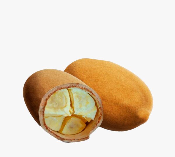 Cupuaçu Liofilizado em pó - Imagem 3